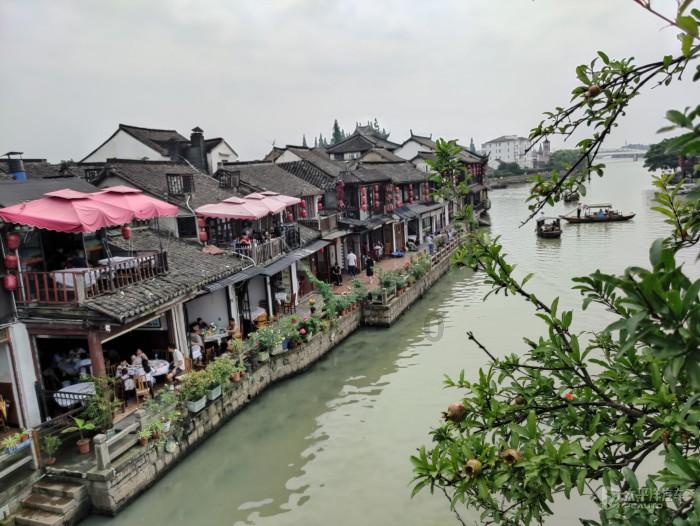 阴暗森林